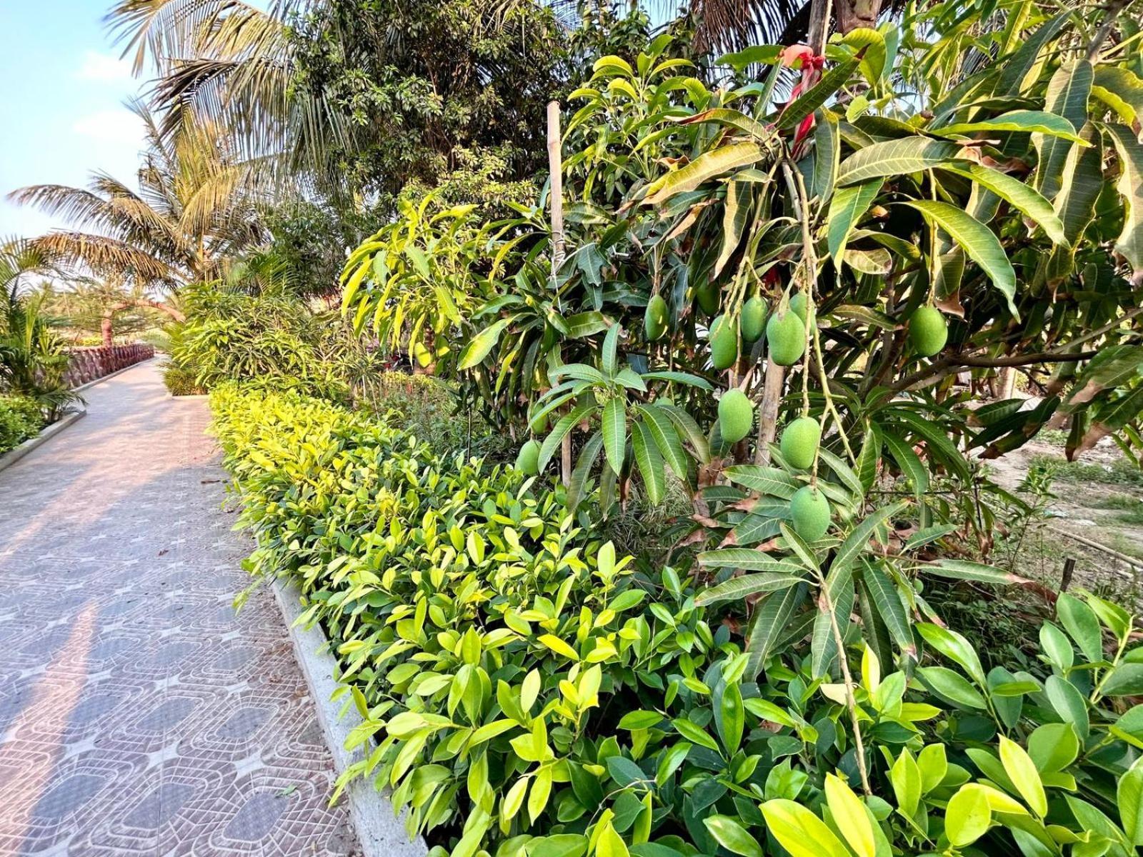 Palli Bangla Resort, Near Ruby Hospital, Anandapur Καλκούτα Εξωτερικό φωτογραφία